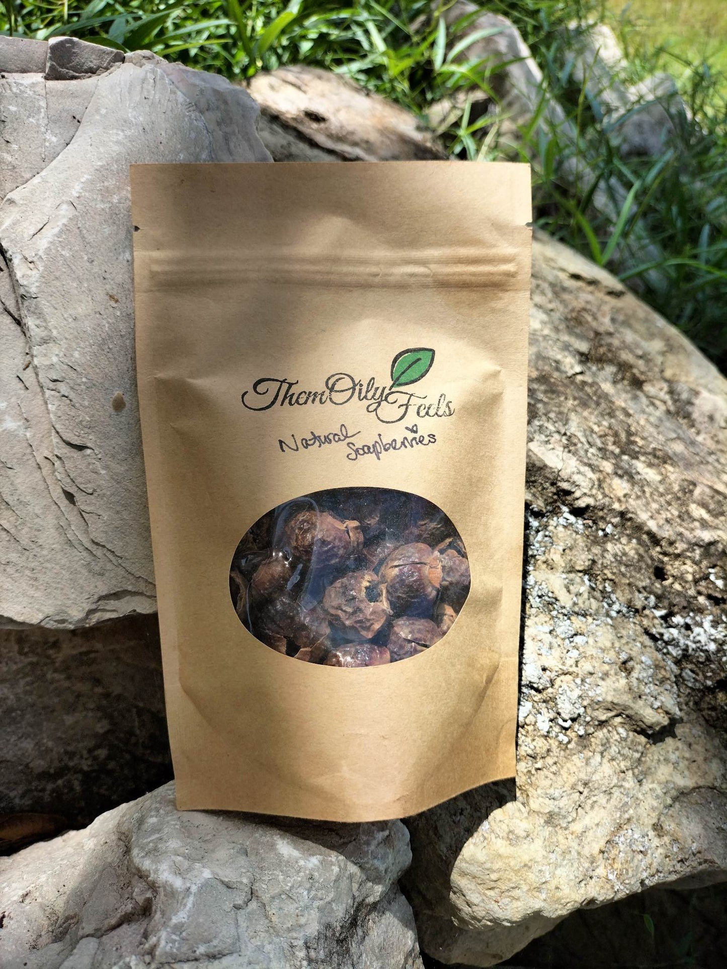 NATURAL SOAP BERRIES ~ (natural all purpose cleaner)